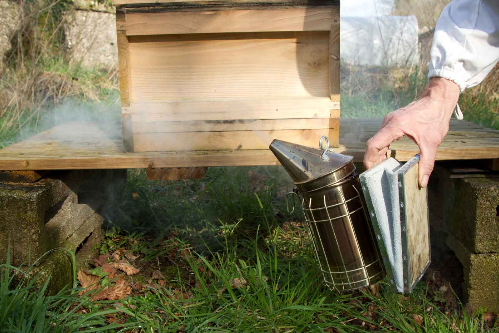 Beekeeping Equipment